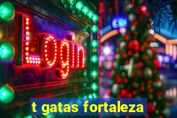 t gatas fortaleza